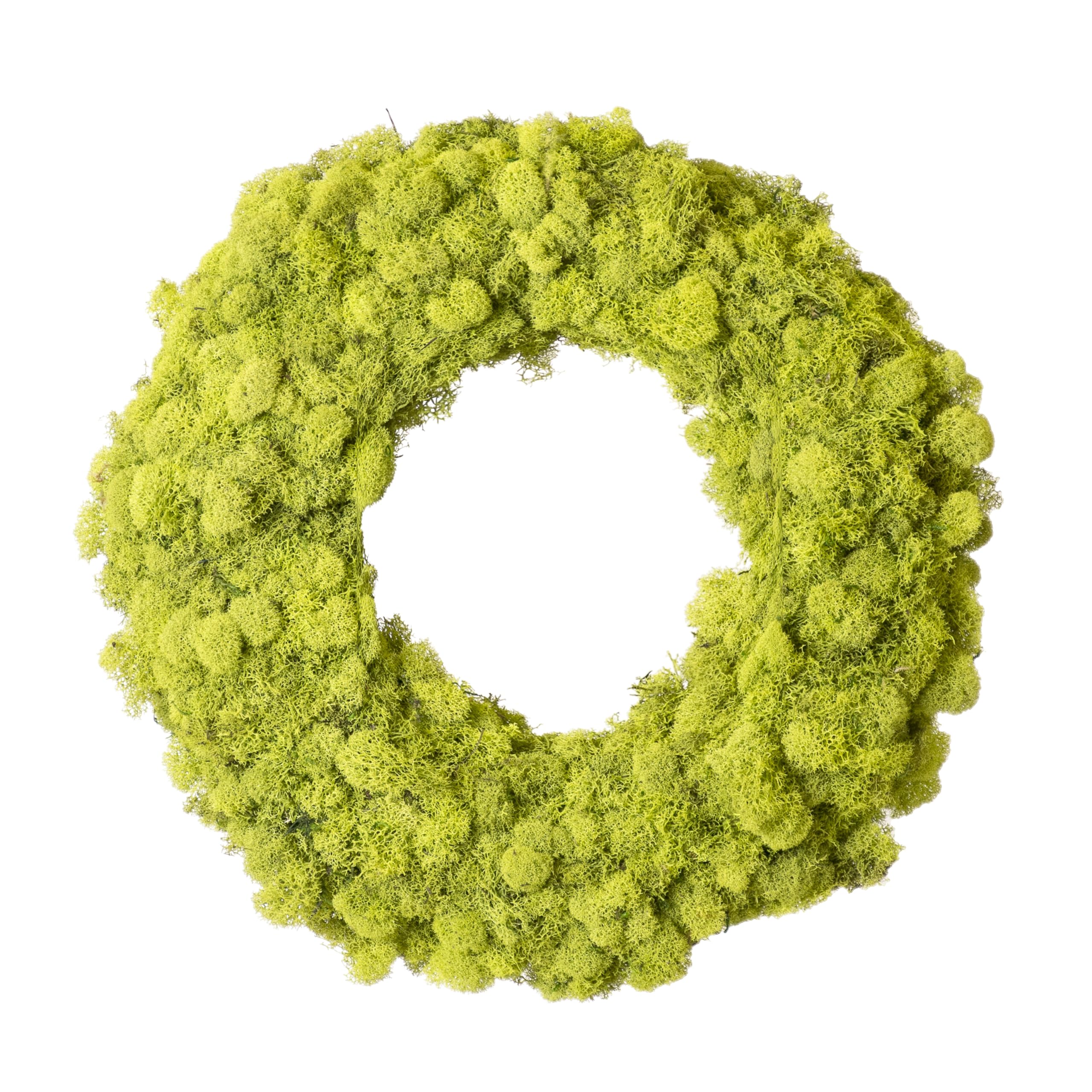 (25189) Luxurious Lush Reindeer Moss Wreath - Handcrafted Natural Indoor and Covered Front Door Décor, 12", Chartreuse