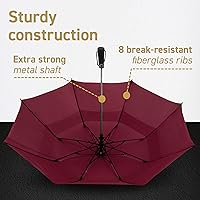 Vista 30 de EEZ-Y Folding Golf Umbrella