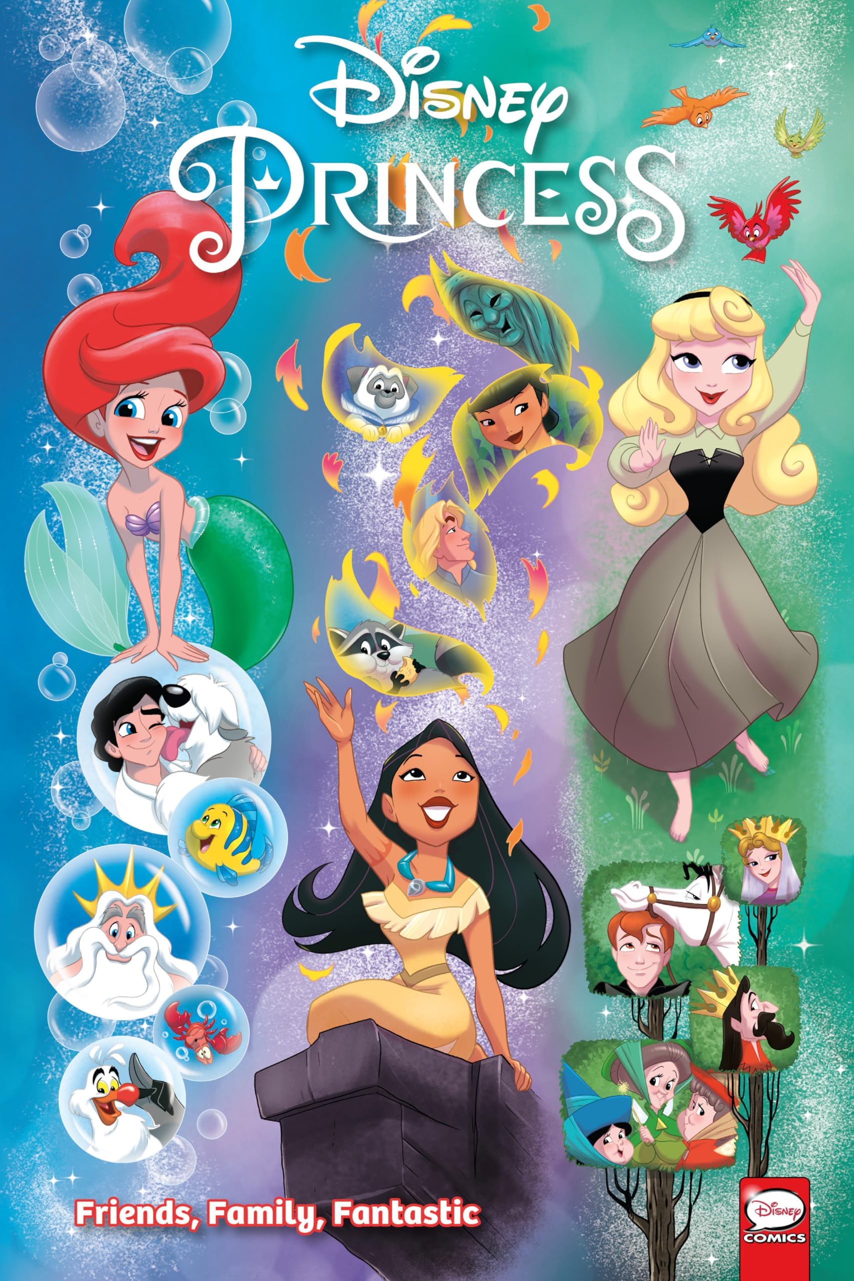 Disney Princess: Friends, Family, Fantastic Paperback โ March 24, 2020