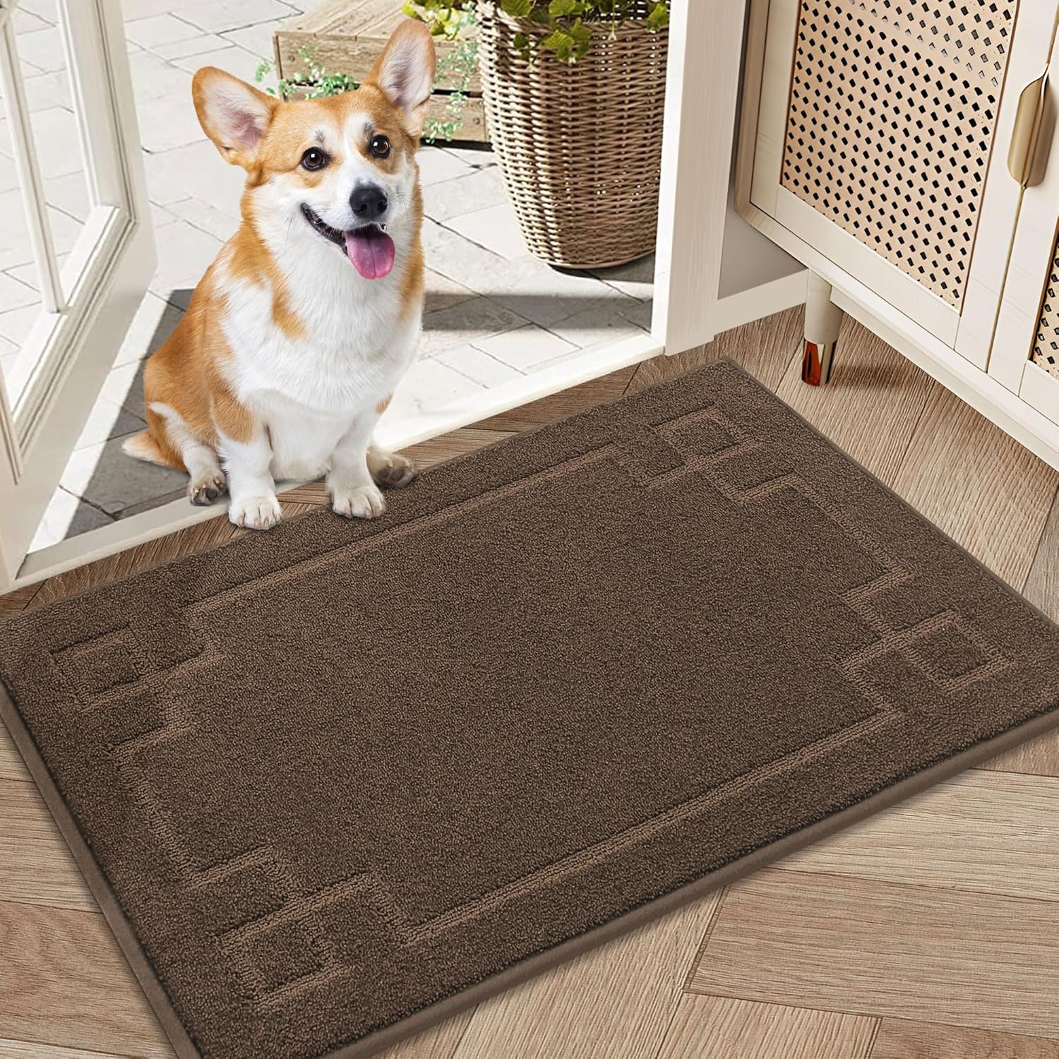 BEQHAUSE Door Mat 20" x 32", Non-Slip Door Mats Indoor Entryway Rugs Washable Low-Profile Absorbent and Stain Resist Floor Mats, Dog Door Mat for Front Back Door, Muddy Wet Shoes & Paws, Brown Brown 1'8" x 2'8" (Rectangular)