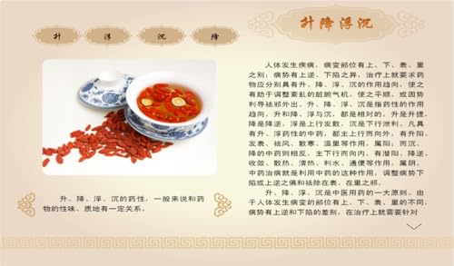 Health Treasure: the Wisdom of Traditional Chinese Medicine