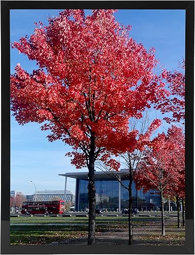 Vista 109 de Medog Marco de póster de 24 x 36 pulgadas, color negro, paquete de 2 marcos para fotos de 24 x 36 pulgadas, marco de galería de estudio, marco de 2P