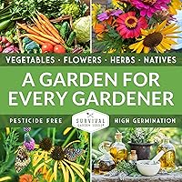 Vista 6 de Giant of Italy Semillas de perejil para plantar, hierba tradicional italiana de hoja plana con hojas grandes y sabrosas, sin OMG, ideal para cocinar