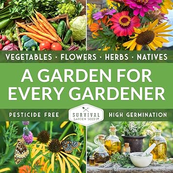Victoria Blue Sage Seeds for Planting - Heirloom Mealycup Salvia Farinacea - Pollinator Flowers for Borders and Cottage Gardens - Survival Garden Seeds (1 Pack)