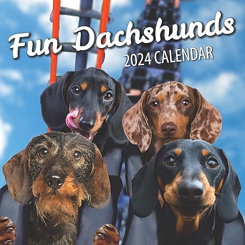 Fun Dachshunds Dog Wall Calendar 2024  Agenda familiar grande y organizador diario con imágenes mensuales de perros lindos, planificador de pared