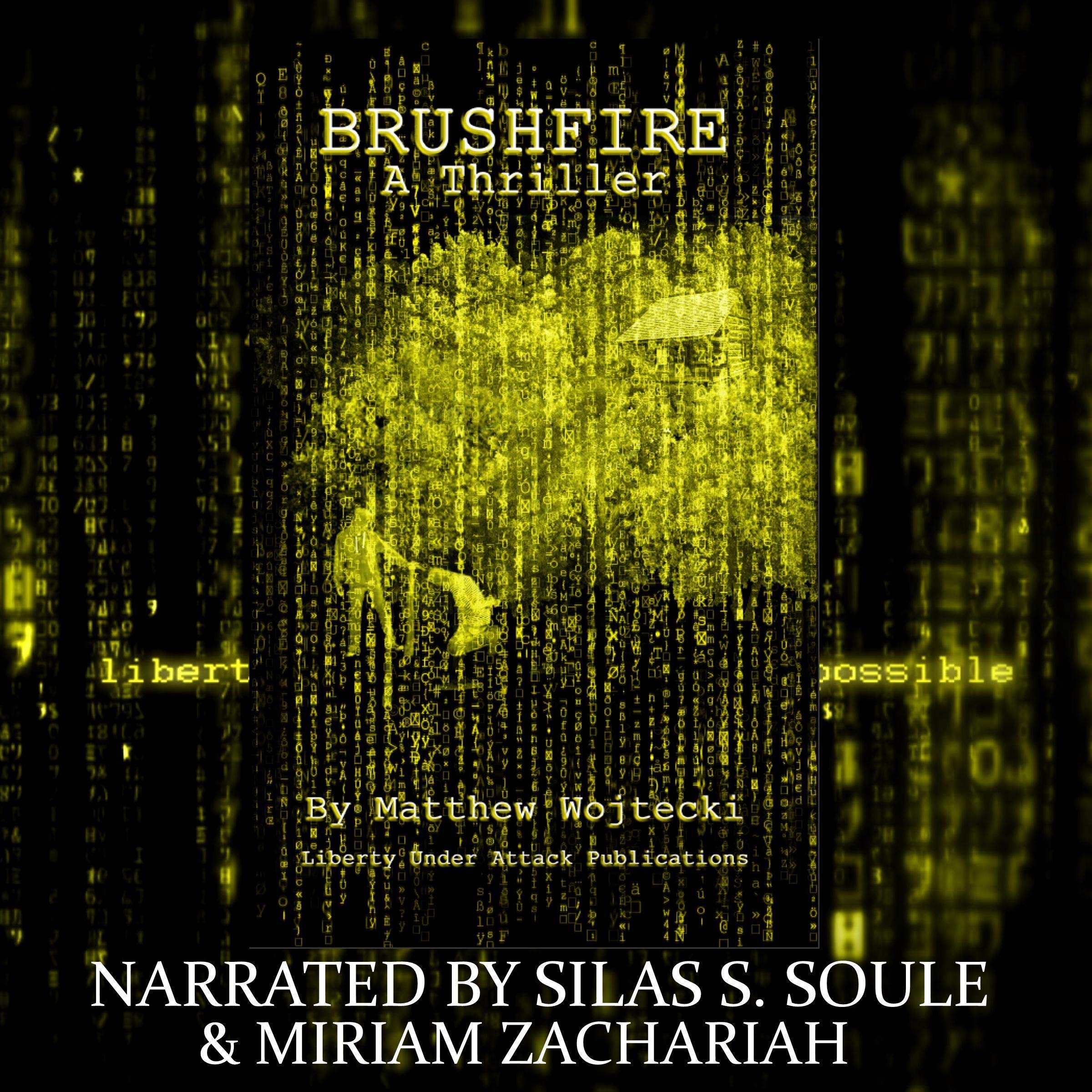 Brushfire: A Thriller