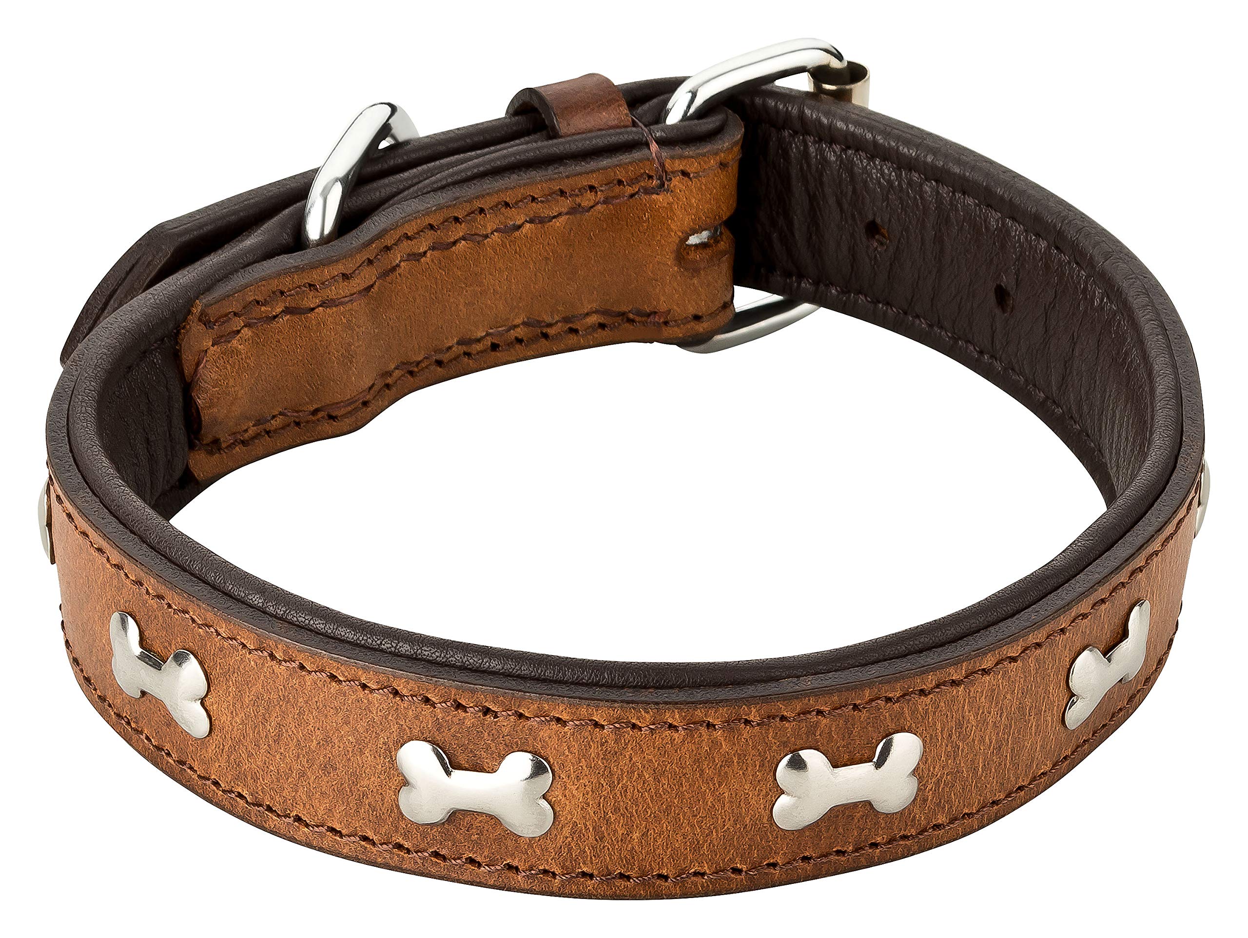 Lisa Halsband für Hunde aus Leder mit Applikation, Hundehalsband für den großen und mittleren Hund (L - 36-45cm, Braun)