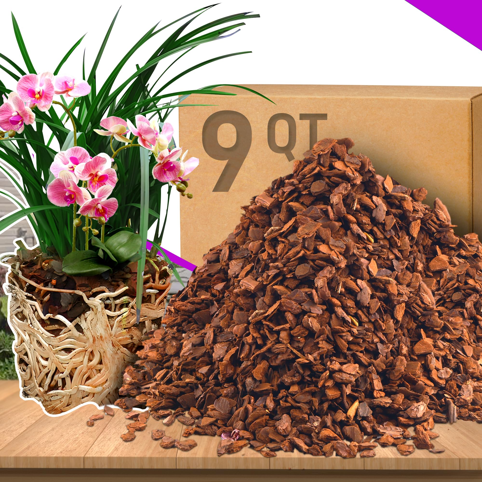 Amazon.com : qt Orchid Bark Horticultural Grade- Ideal for