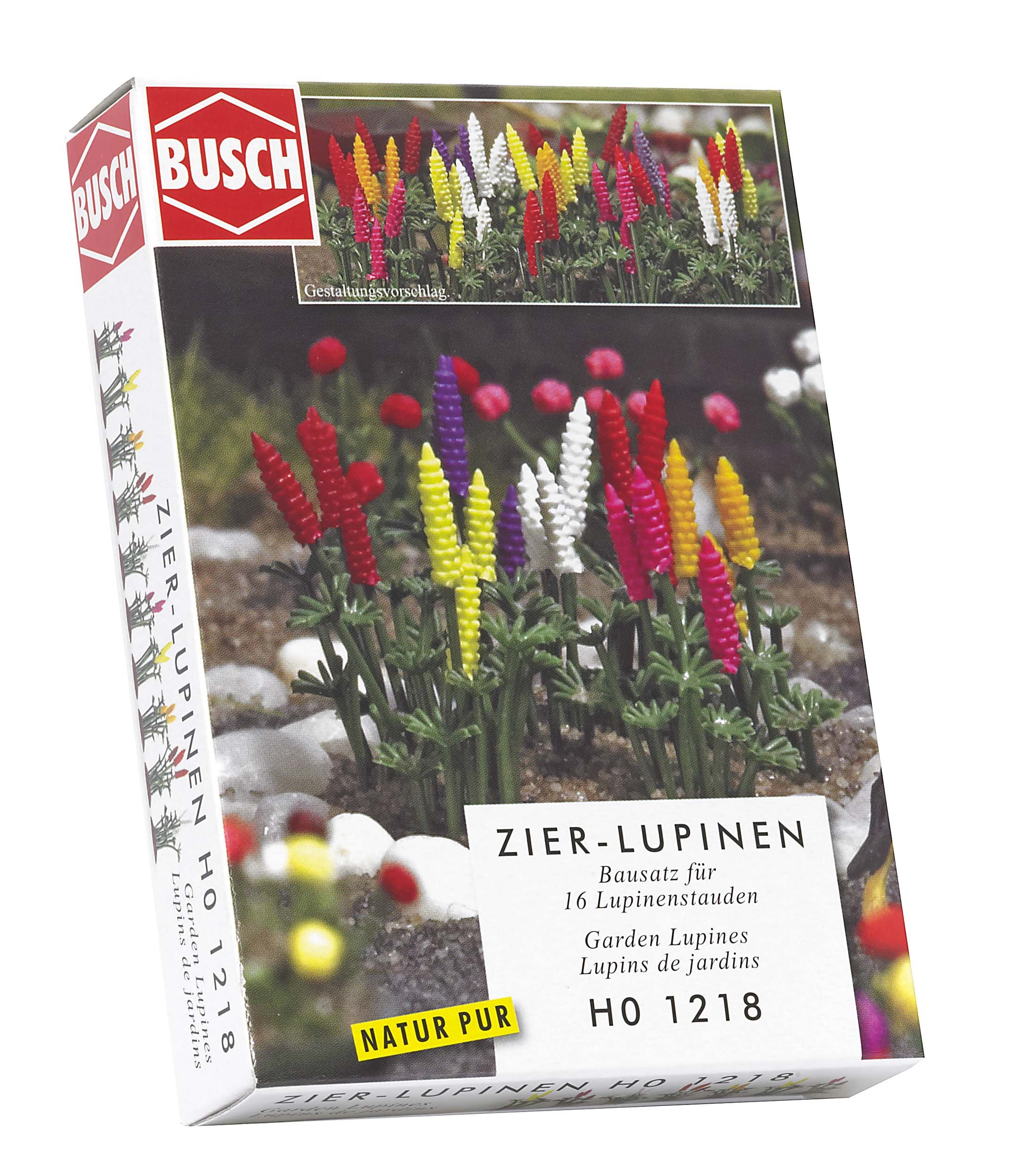 Garden Lupins
