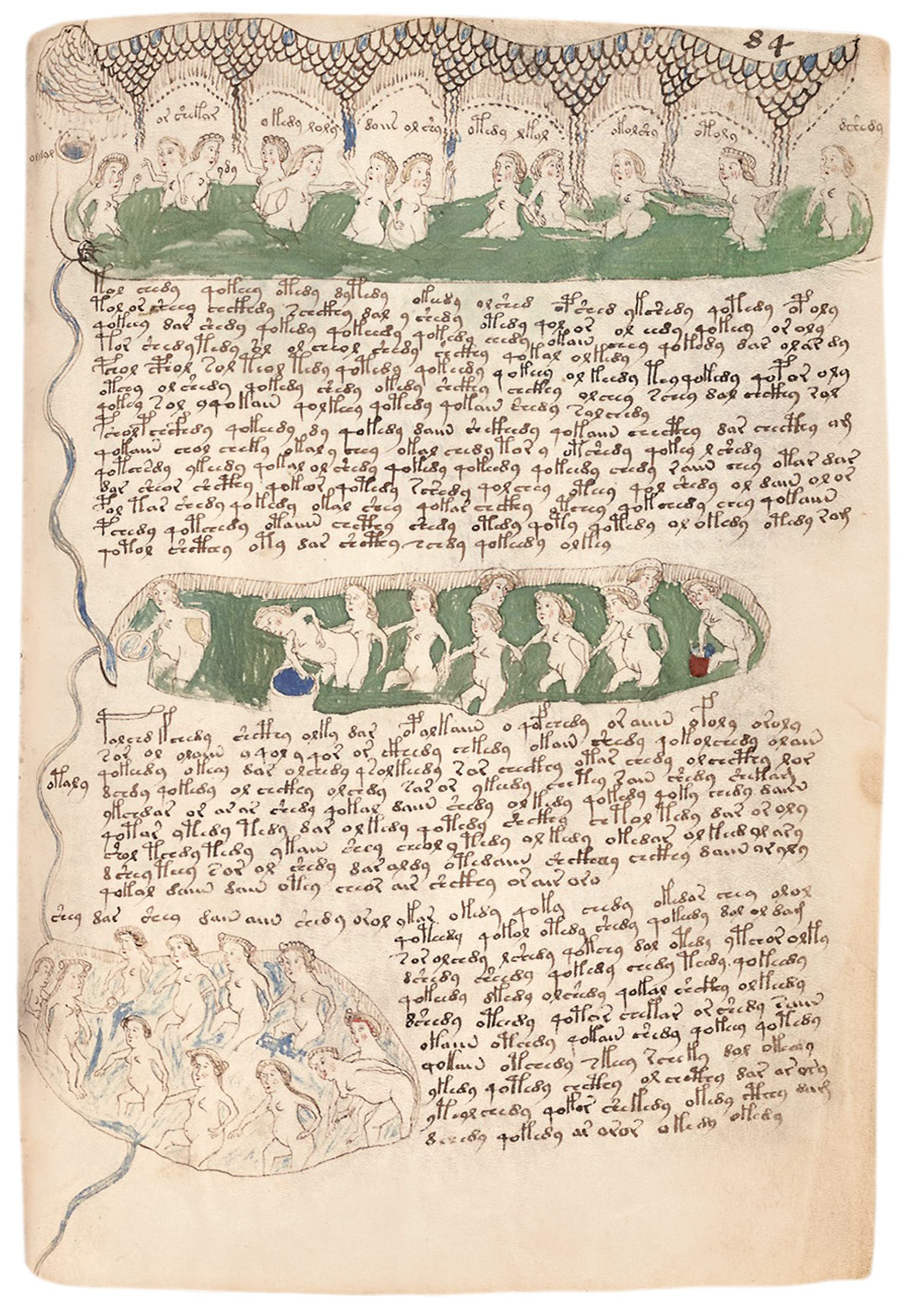 Das Voynich Manuskript: Gesamtdarstellung aller Tafeln der geheimnisvollen illuminierten Handschrift