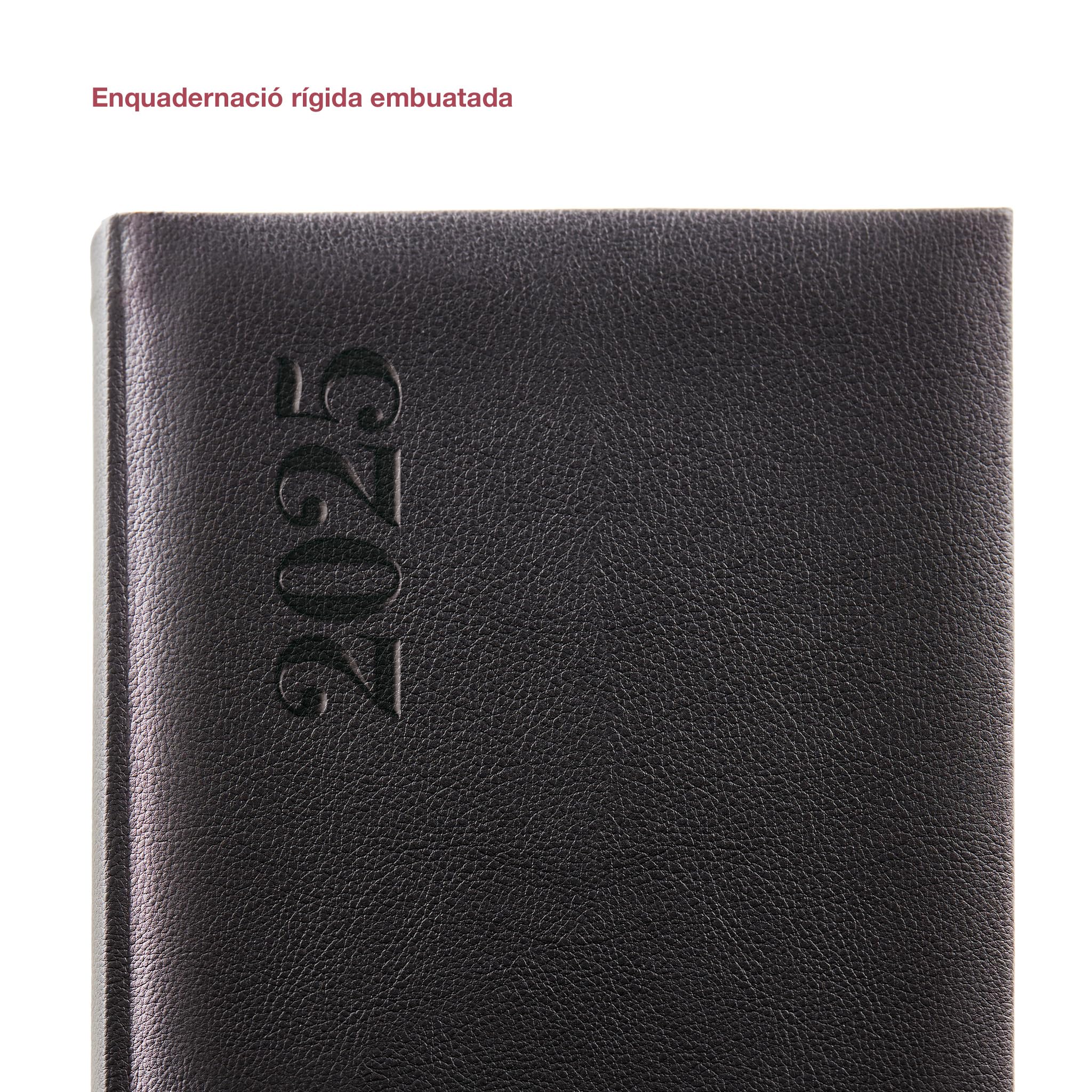 Miquelrius, 2025 Diary, Yearly Diary 155 x 213 mm, Day Page Agenda, Stitched Padded Hard Cover, 80 g/m² Paper, Catalan - Image 4