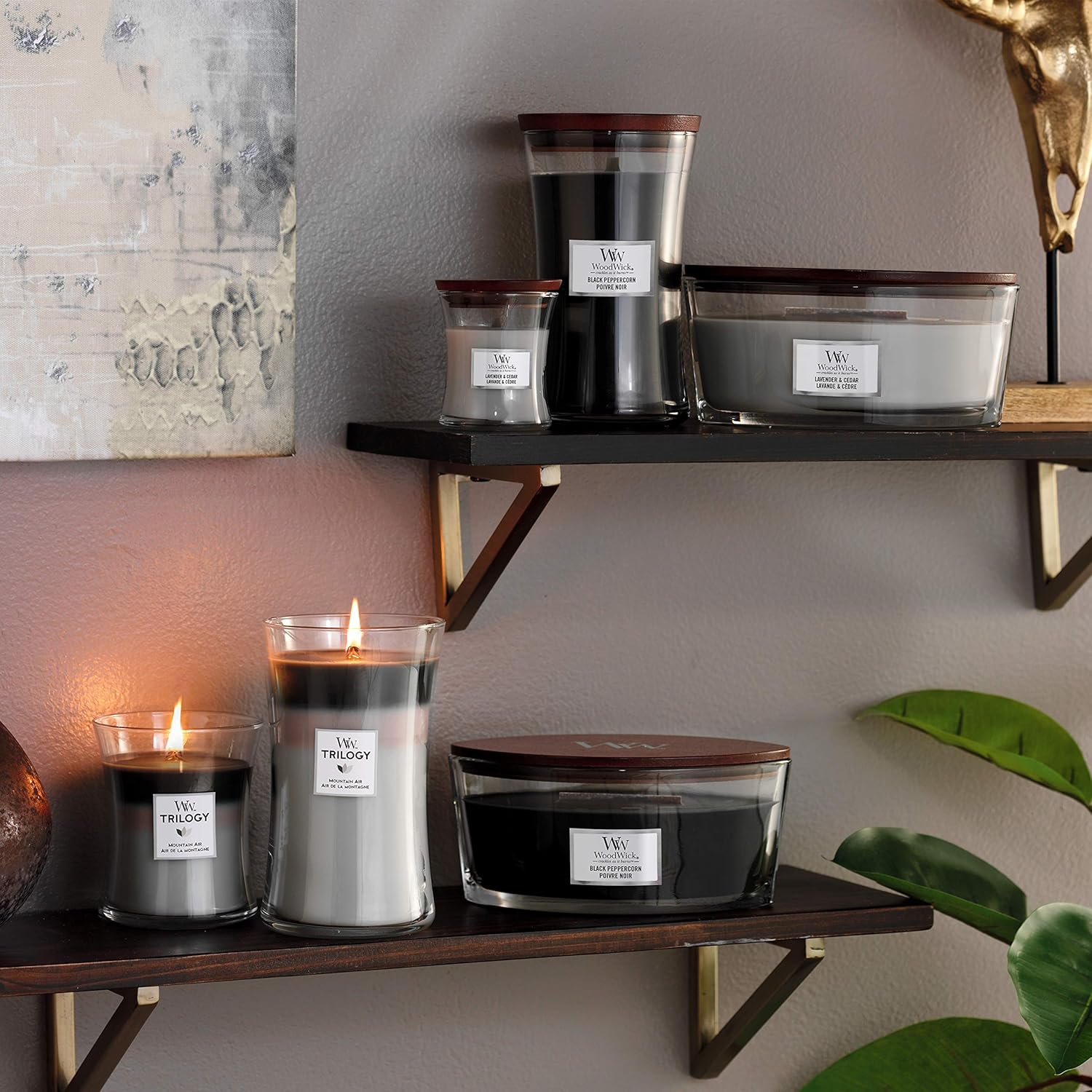 Woodwick Ellipse LAVENDER & CEDAR Lavanda Cedro candela profumata con stoppino scoppiettante Durata 50 ore