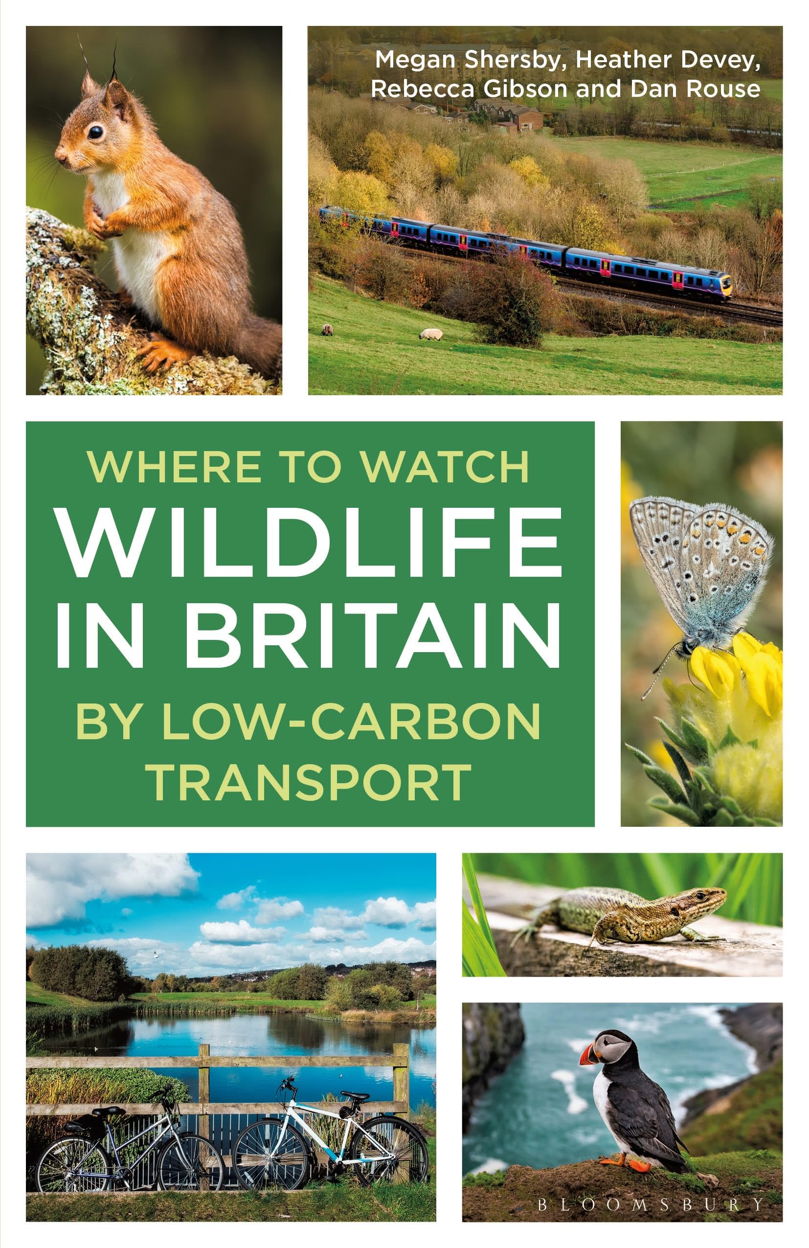 Where to Watch Wildlife in Britain by Dan Rouse (Paperback Book)