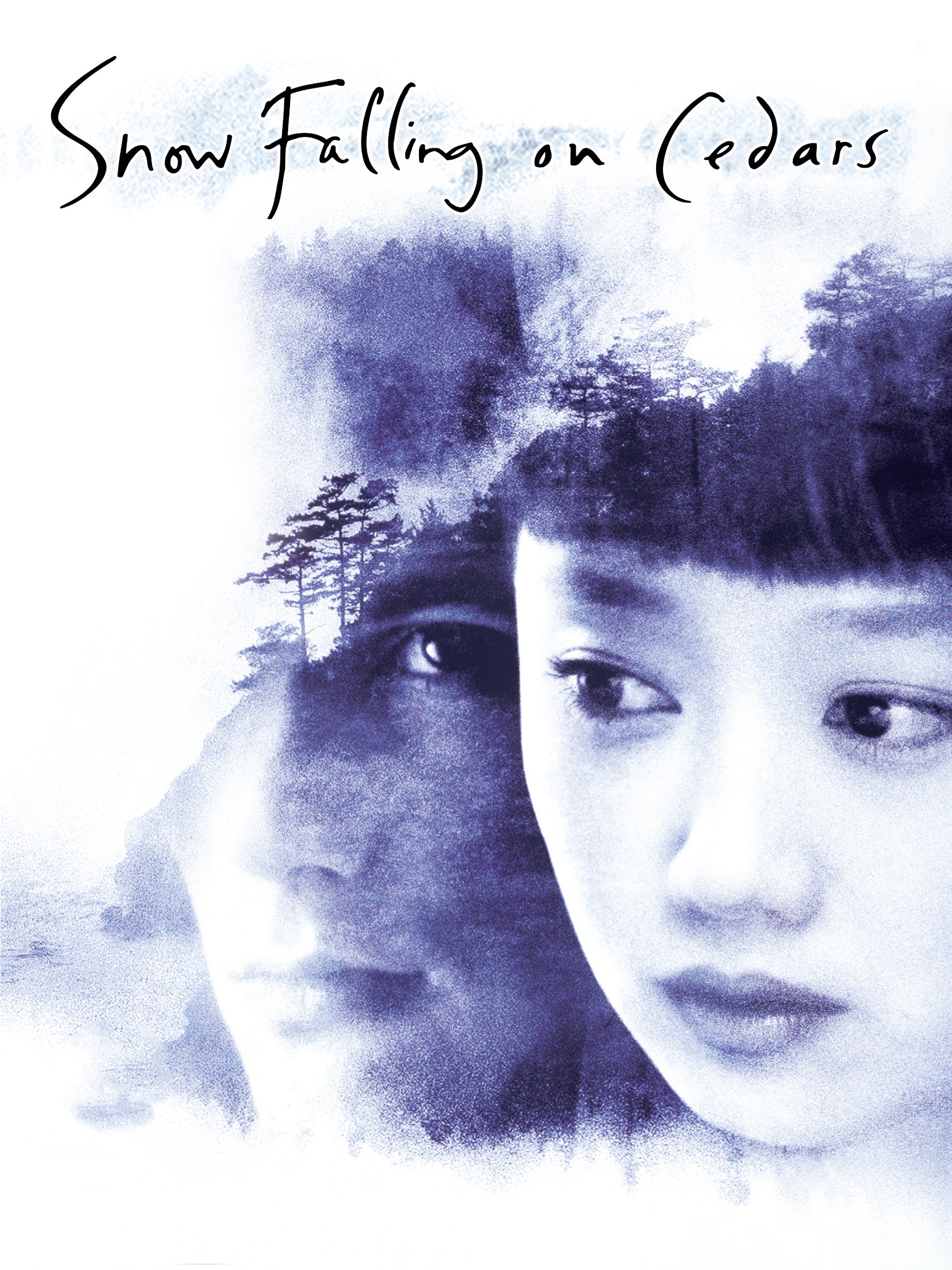 Snow Falling on Cedars