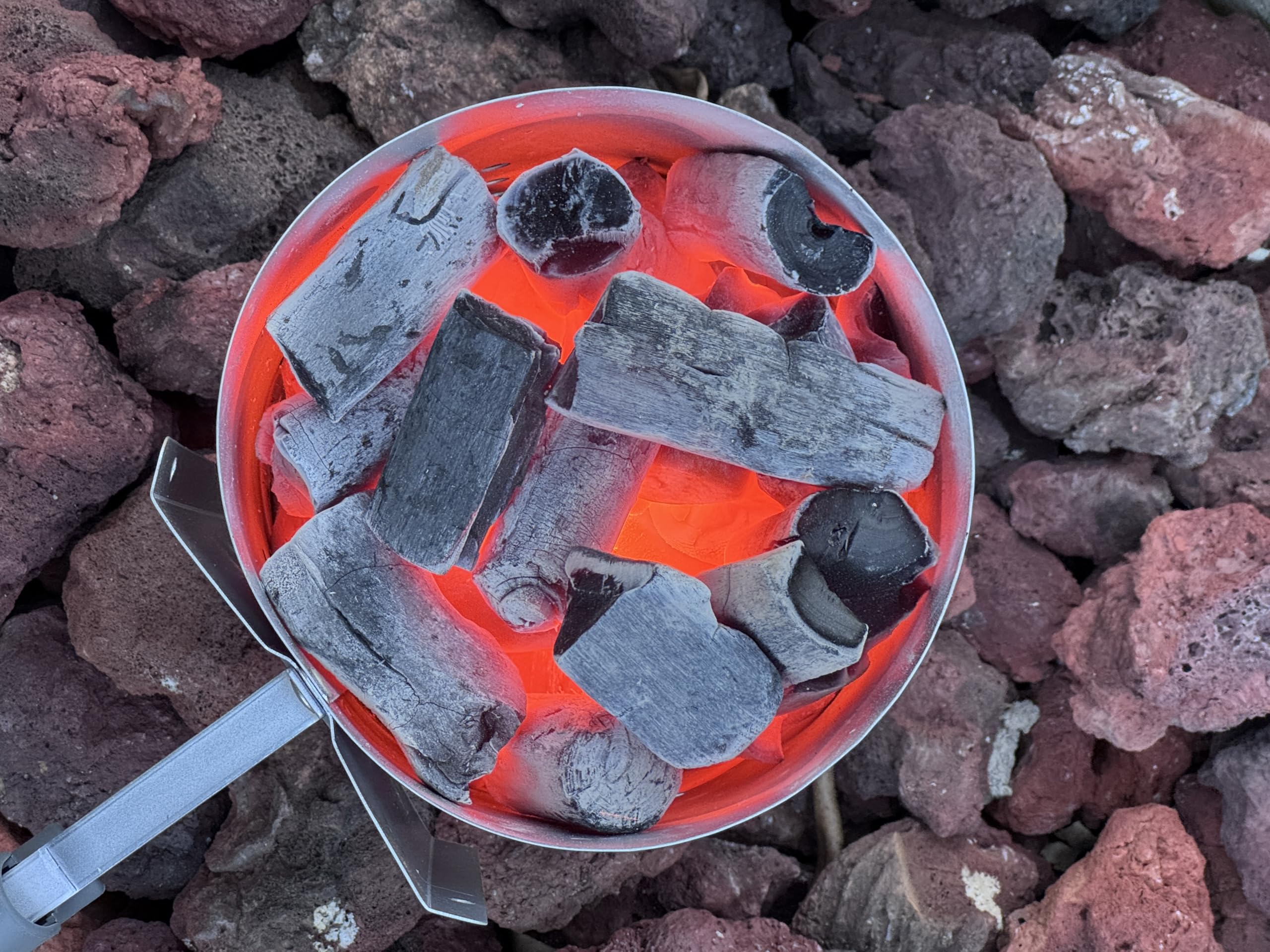 Amazon.com : The Bincho Grill Classic Binchotan Charcoal 22lbs (2