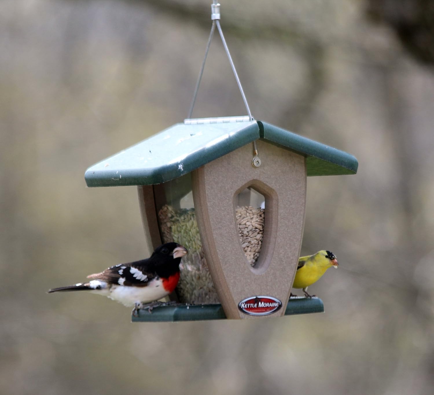 Kettle Moraine Recycled Mini Moraine Hopper Feeder (Green/Chocolate)