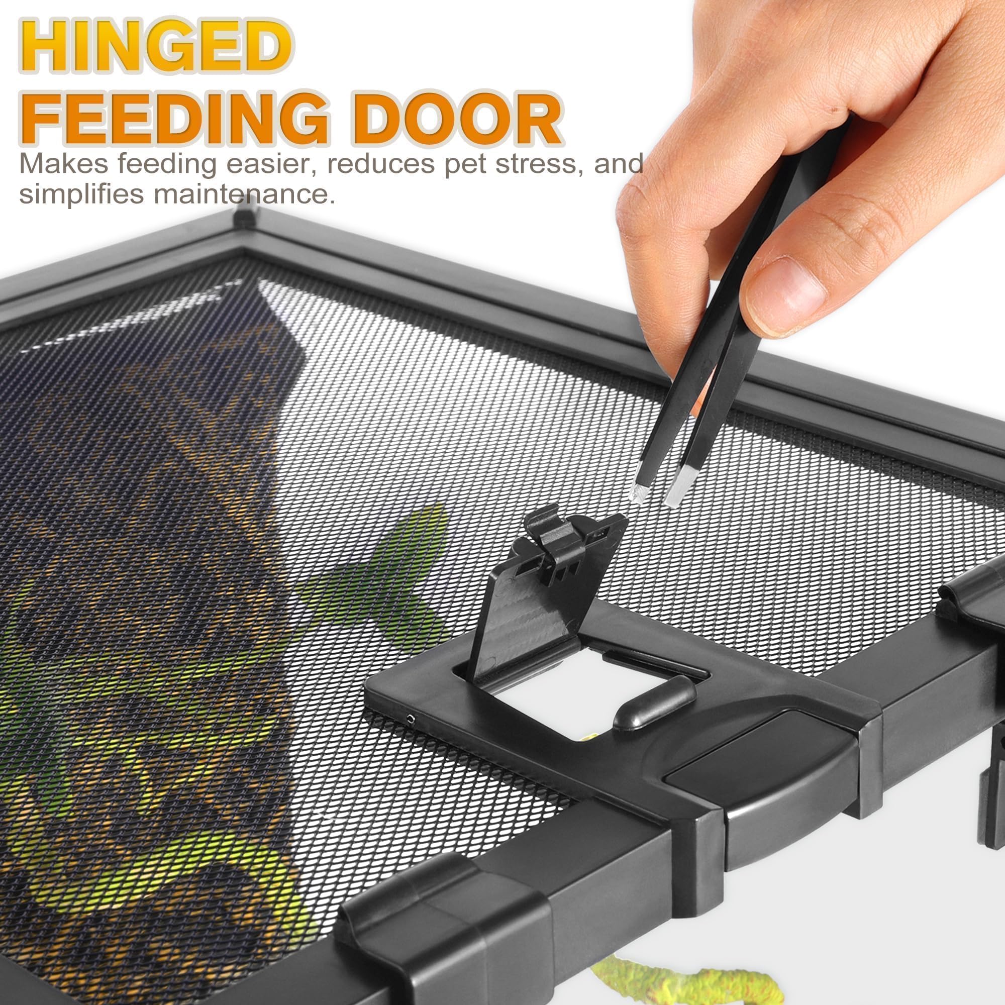 Mini terrario in vetro per rettili, 30,5 x 30,5 x 30,5 cm, a vista completa, per piccoli anfibi, gabbia per habitat in vetro, con fessura per l'alimentazione e fibbia di blocco della scatola