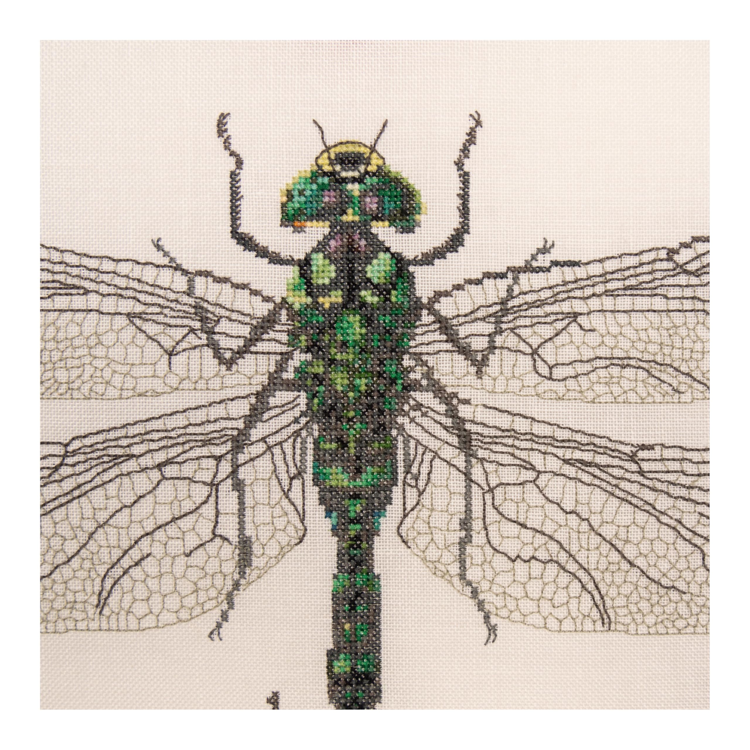 Thea Gouverneur - Counted Cross Stitch Kit - The History of Insects - Aida - 14 Count - Embroidery Kit for Adults - DMC Embroidery Threads and Other Cross Stitch Supplies Included - 566A