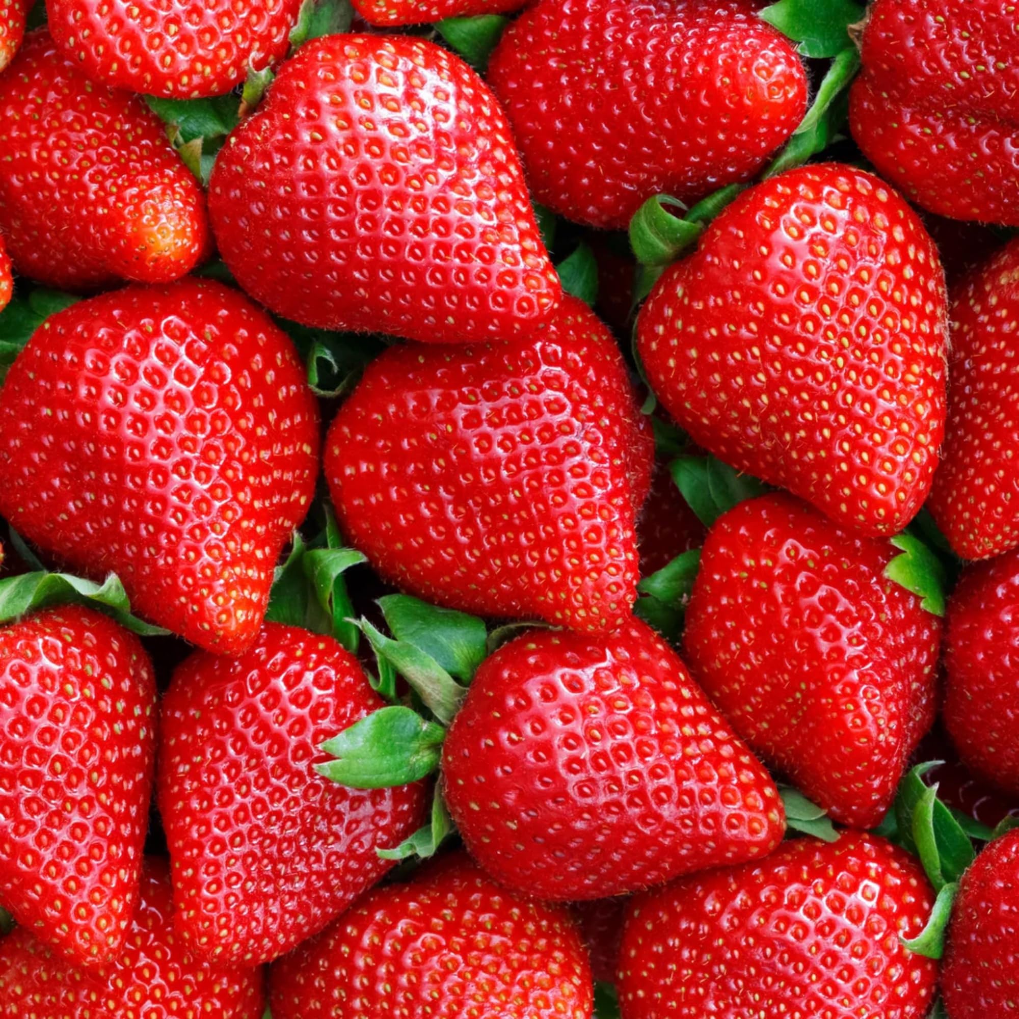 seeds 200pcs strawberry for four seasons planting seeds 200pcs strawberry for four seasons planting