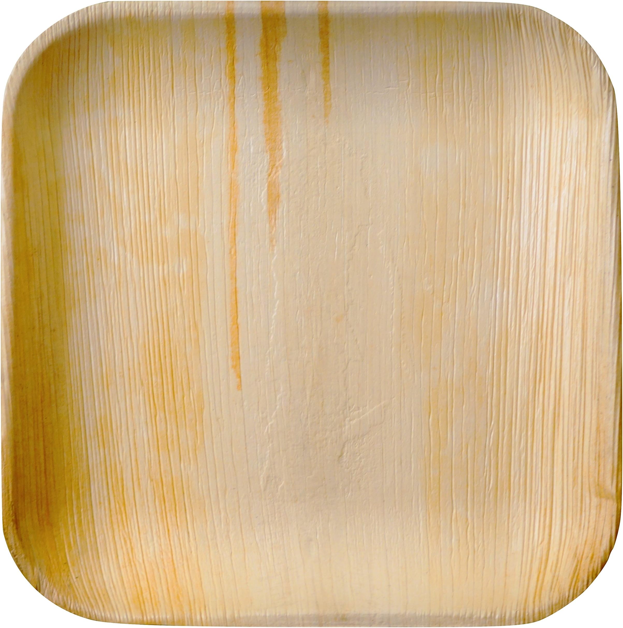 Party Plates Disposable - Elegant, Sturdy, 100% Natural, 100% Compostable, BioDegradable ( 10" Inch Square, Pack of 25) Awesome For Parties, Weddings, Baby Shower, BBQ and Special Events