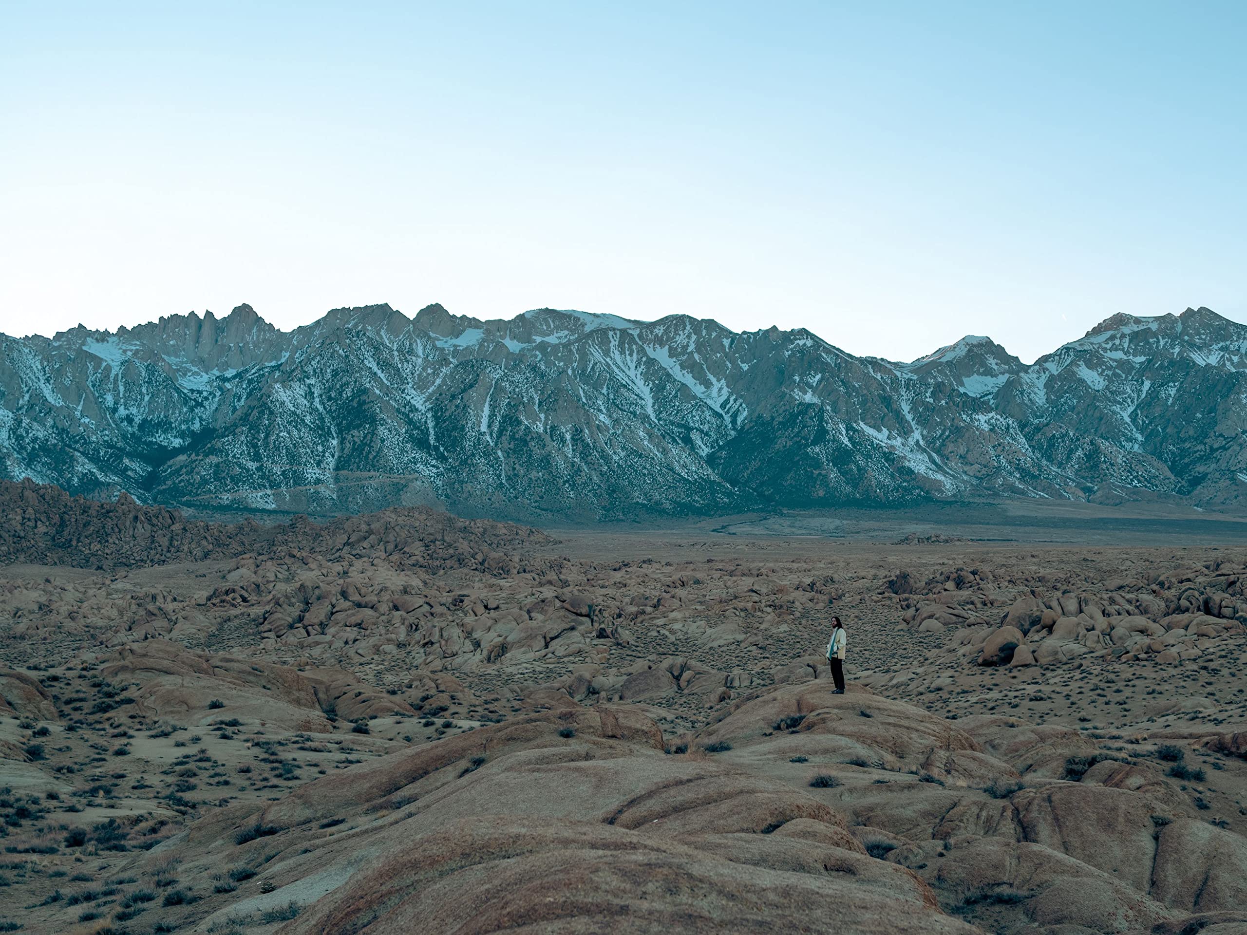 Will Sheff (Okkervil River)