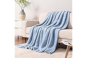 PAVILIA Light Blue Sherpa Blanket: The Epitome of Comfort and Coziness