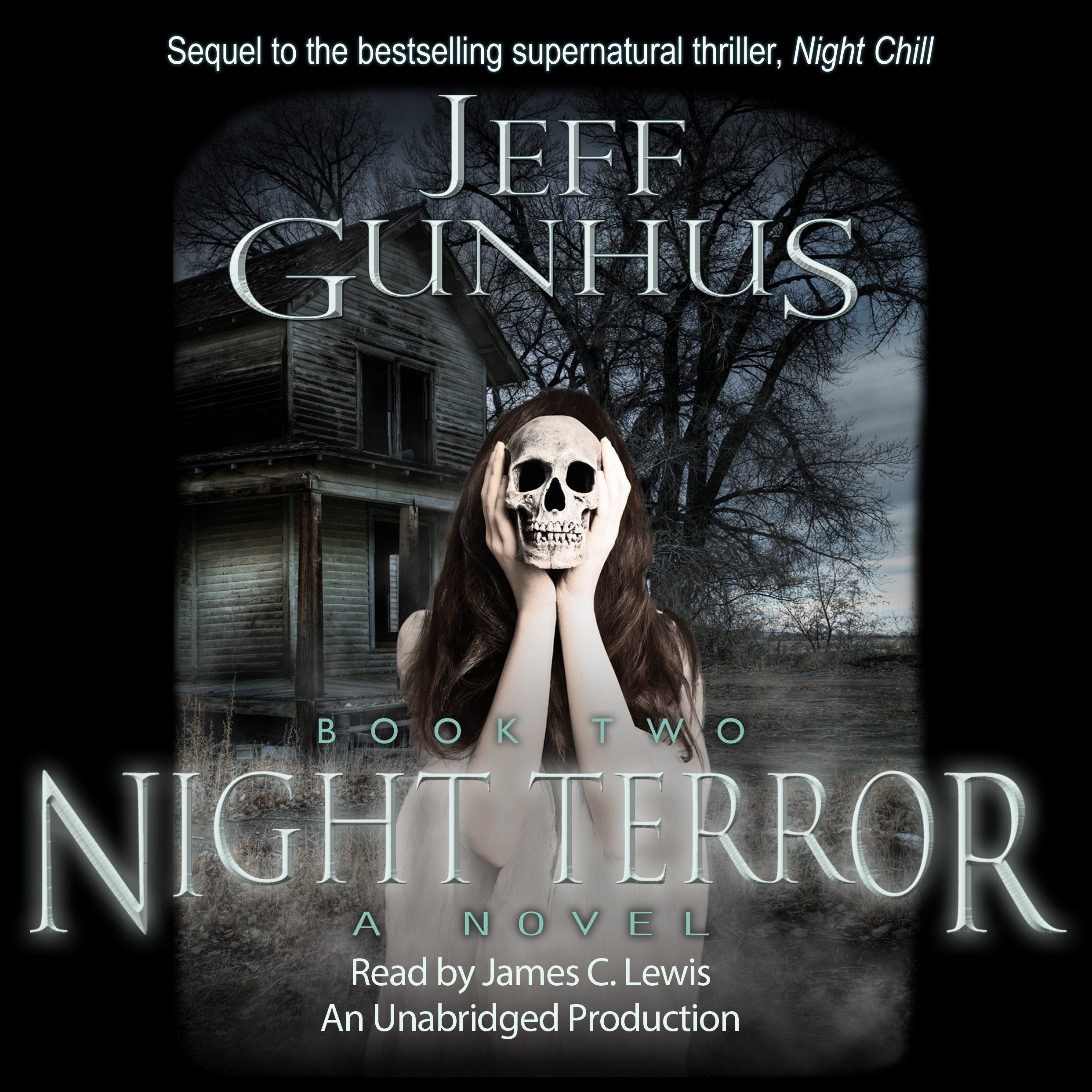 Cover art for Night Terror, Book 2