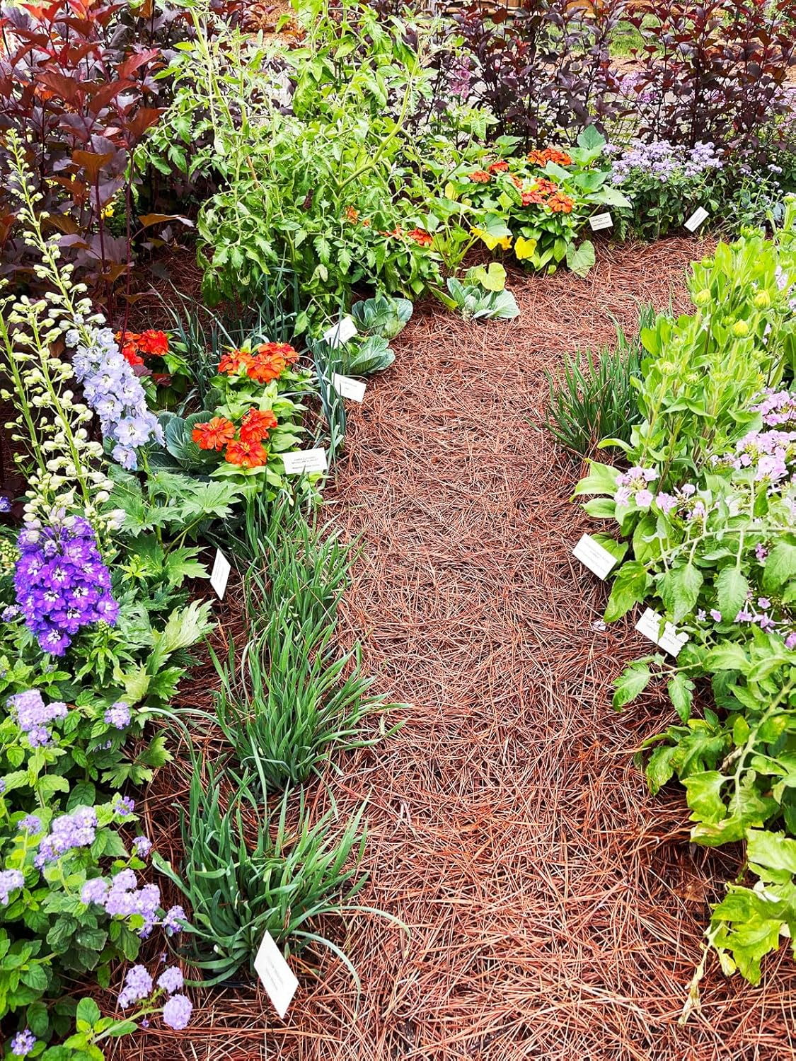 Shredded Pine Straw Bags of Mulch | Sustainable, Long-Lasting, Easy-to-Spread | OMRI Listed Organic | Weed & Mold Spore Free | Pine Needle Mulch for Gardens | 2 cu. ft. Bags (2 Bags/Order)