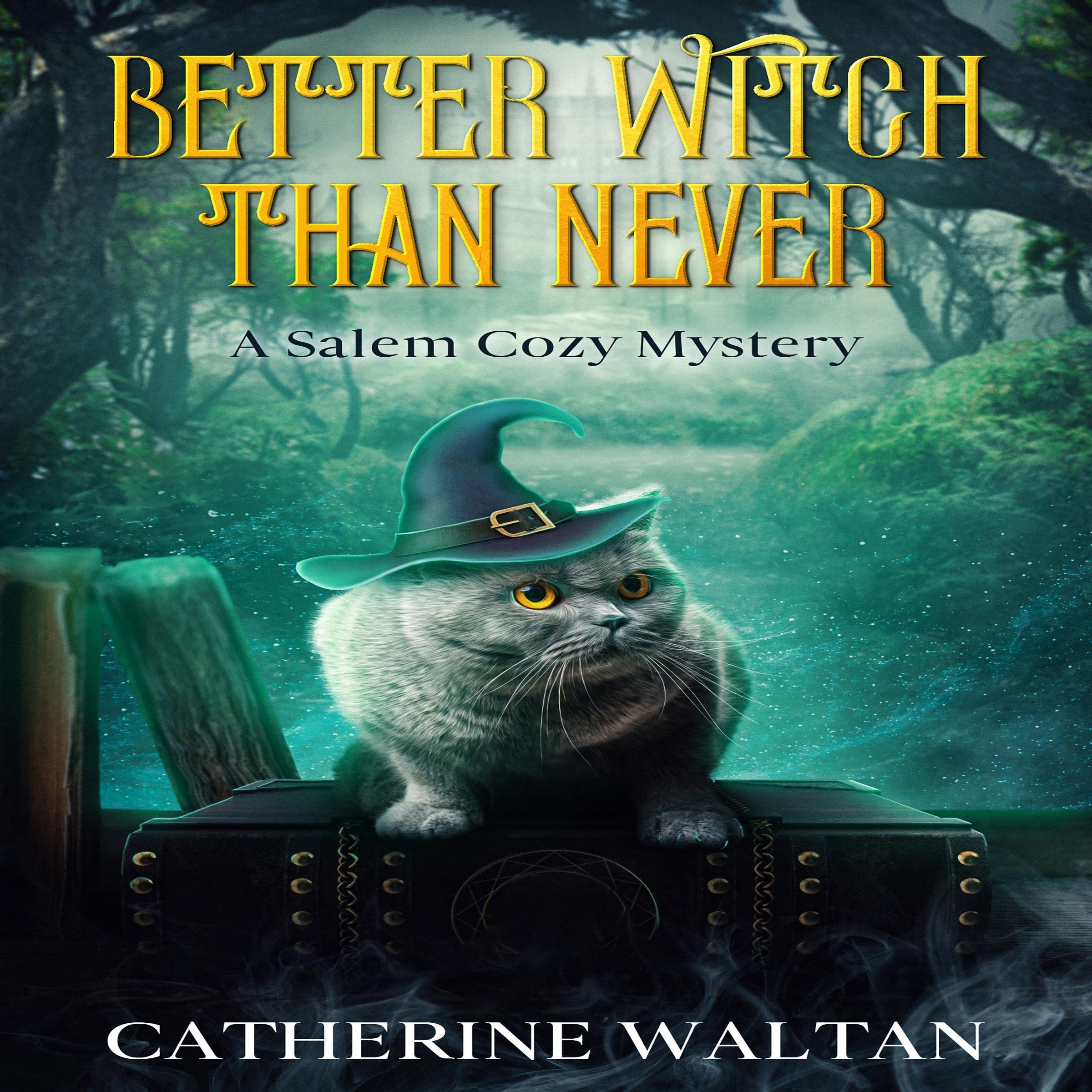 Cover art for Better Witch Than Never: A Salem Cozy Mystery