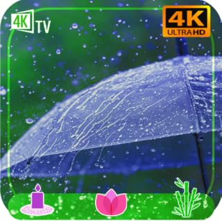 Relax Rain - Rain sounds:Relaxing Nature Rain sleep and meditation