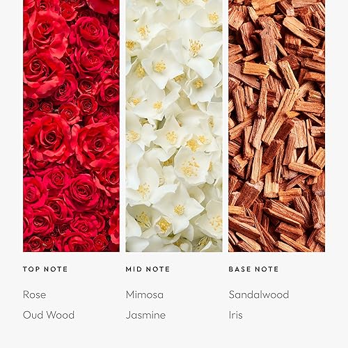 Miniatura 278 de Aroma360 Dream On - Mezcla de aceites aromáticos – 16.9 fl oz – Aceite difusor de aromaterapia perfumado con té blanco sereno, aloe vera curativo