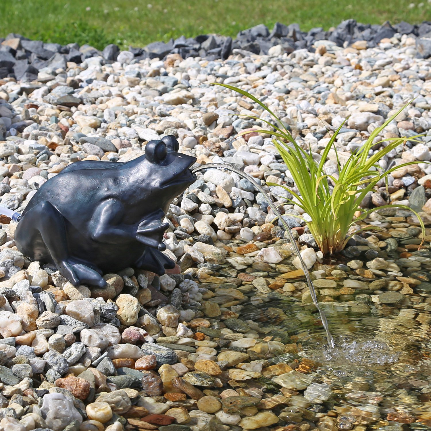 CLGarden Solar Wasserspeier Frosch NSP9 Springbrunnen für Teich mit Pumpe