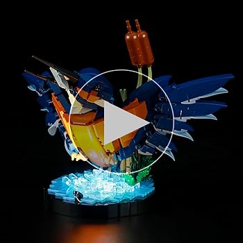 Amazon.com: LIGHTAILING Light for Lego-10331 Kingfisher Bird - Led