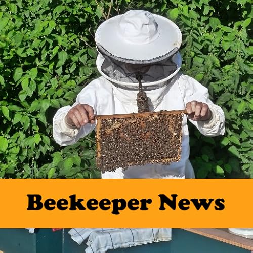 Beekeeper News - //medicalbooks.filipinodoctors.org