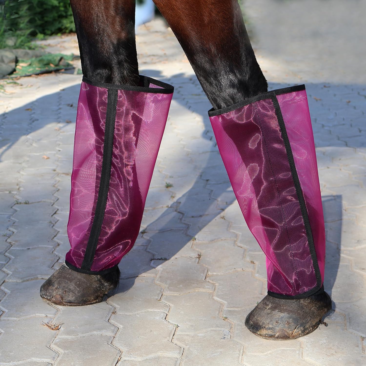 Mesh Fly Boots for Horse, Strong Fast Fasteners, Easy to Put On Equine Fly Boots, Long-Lasting for Daliy Wear, Flexible to Fit Most Horse Legs, Set of 4 Leg Protection