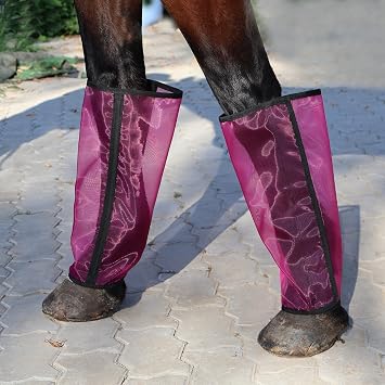 Mesh Fly Boots for Horse, Strong Fast Fasteners, Easy to Put On Equine Fly Boots, Long-Lasting for Daliy Wear, Flexible to Fit Most Horse Legs, Set of 4 Leg Protection