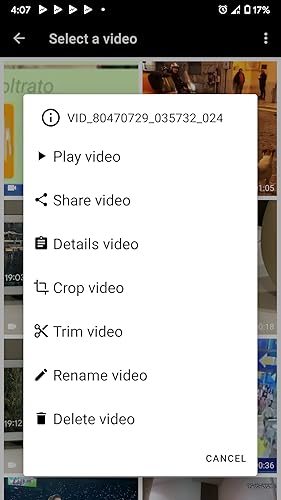 Video editor with Screen recorder