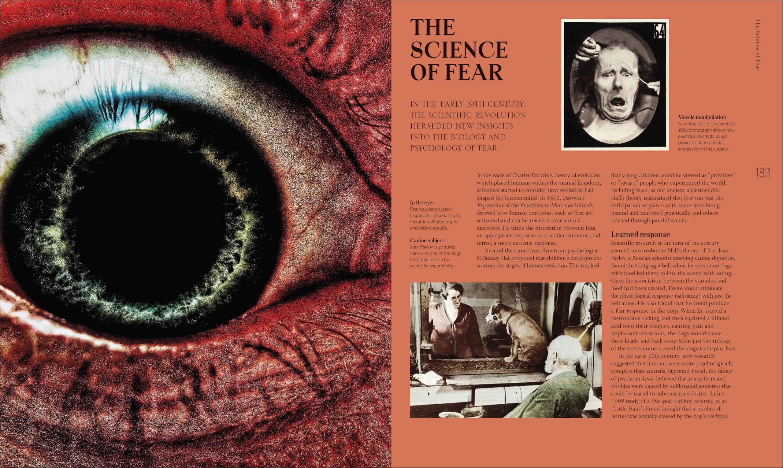 A History of Horror, Fear, and the Uncanny