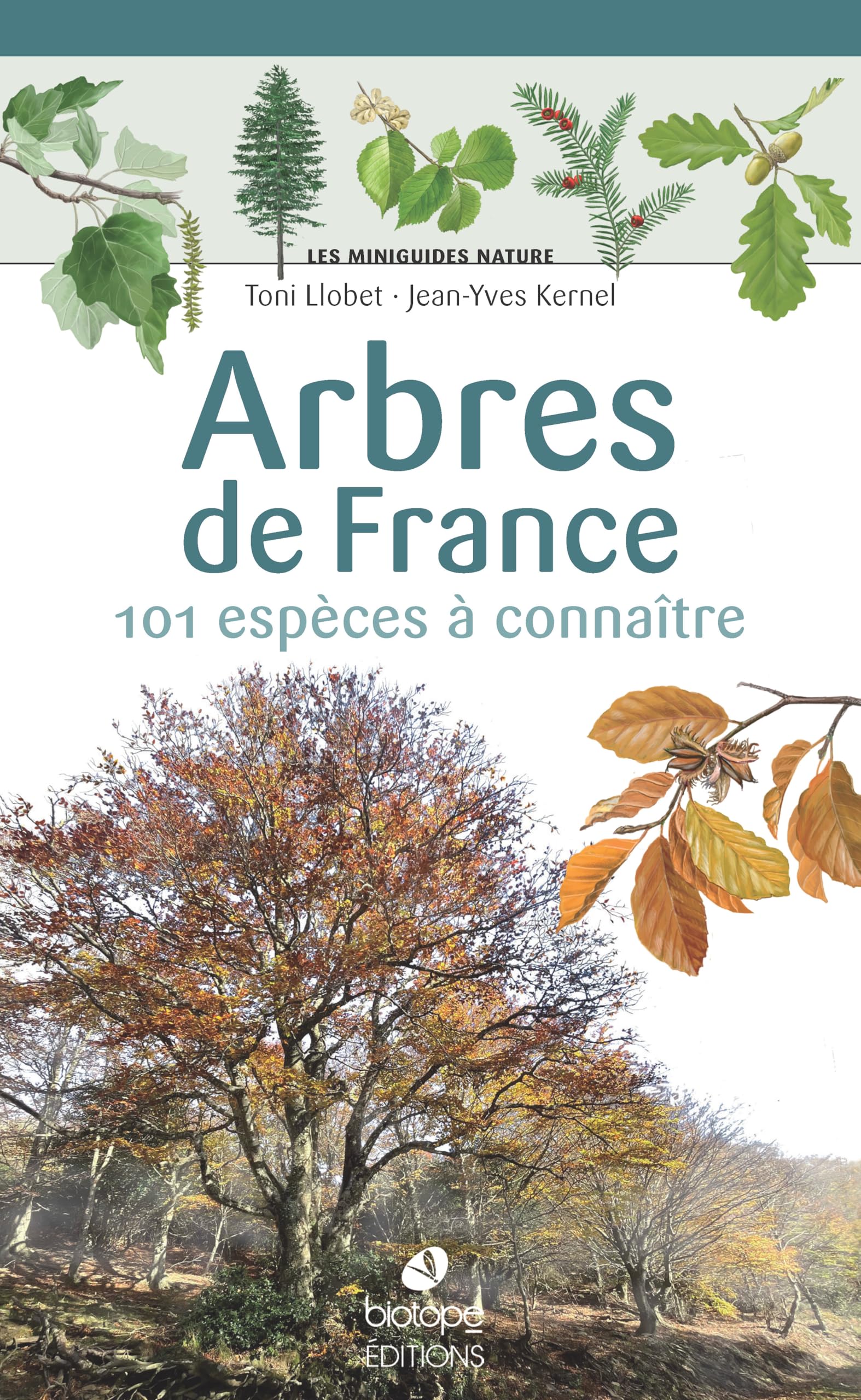 Les miniguides nature - Arbres de France: 101 espèces à connaître