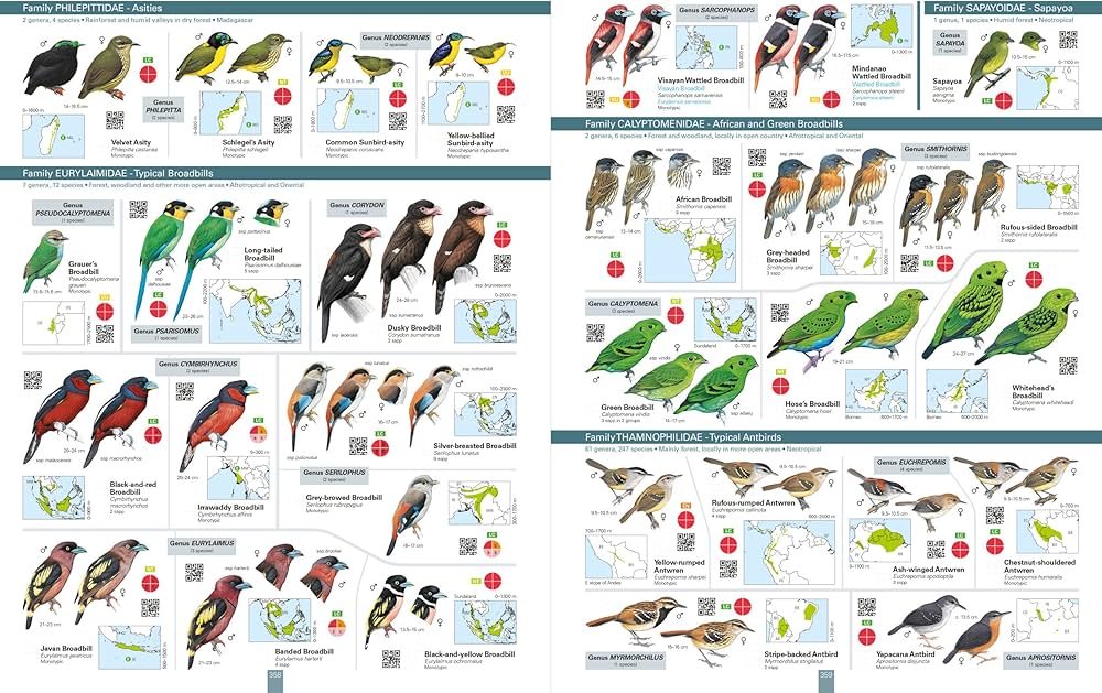 ライフ・オブ・バーズ/鳥の世界 DVD-BOX〈10枚組〉　鳥の生態 ライフ・オブ・バーズ/鳥の世界 DVD-BOX〈10枚組〉 鳥の生態 Vlogoween Day