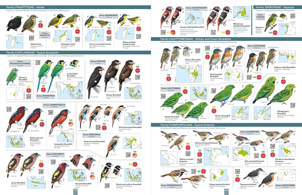 ライフ・オブ・バーズ/鳥の世界 DVD-BOX〈10枚組〉　鳥の生態 ライフ・オブ・バーズ/鳥の世界 DVD-BOX〈10枚組〉 鳥の生態
