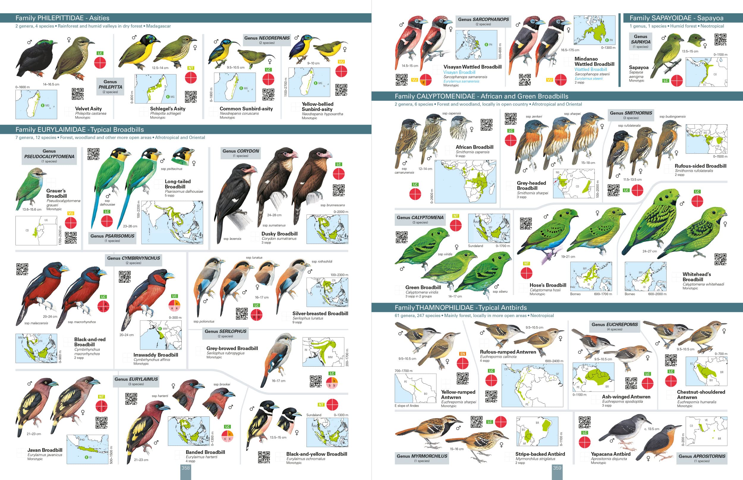 All the Birds of the World