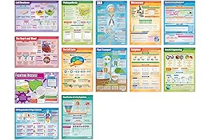 Daydream Education Biology Science Posters: For All Biology Students!
