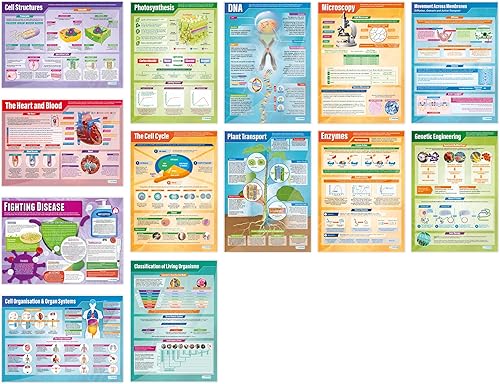 Daydream Education Pósteres de ciencias educativas de biología  Juego de 13 pósteres de biología  Extra Grande 33 x 23 pulgadas de papel brillante