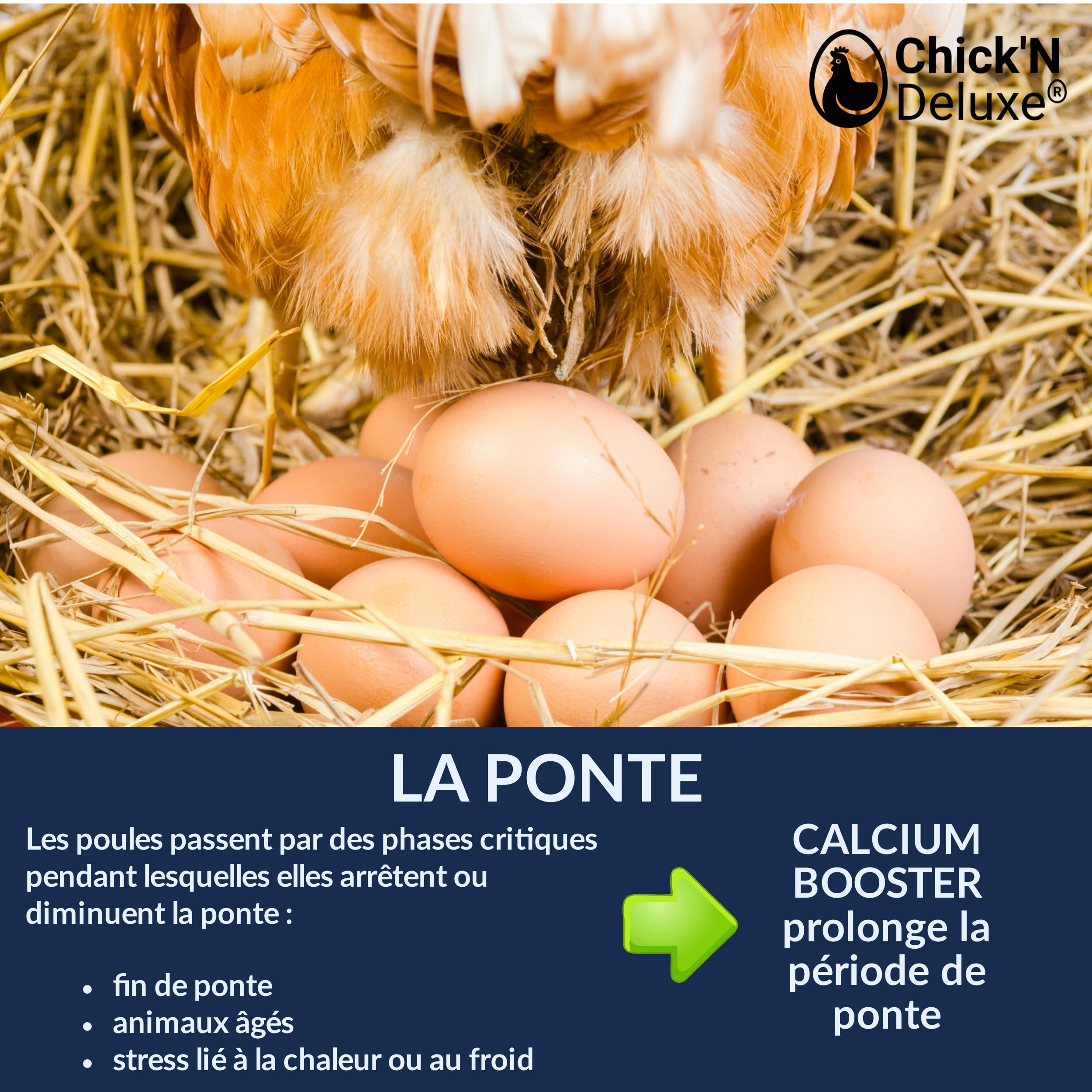 Chick'N Deluxe Calcium Booster 4Kg Coquilles Huîtres Poules Pondeuses