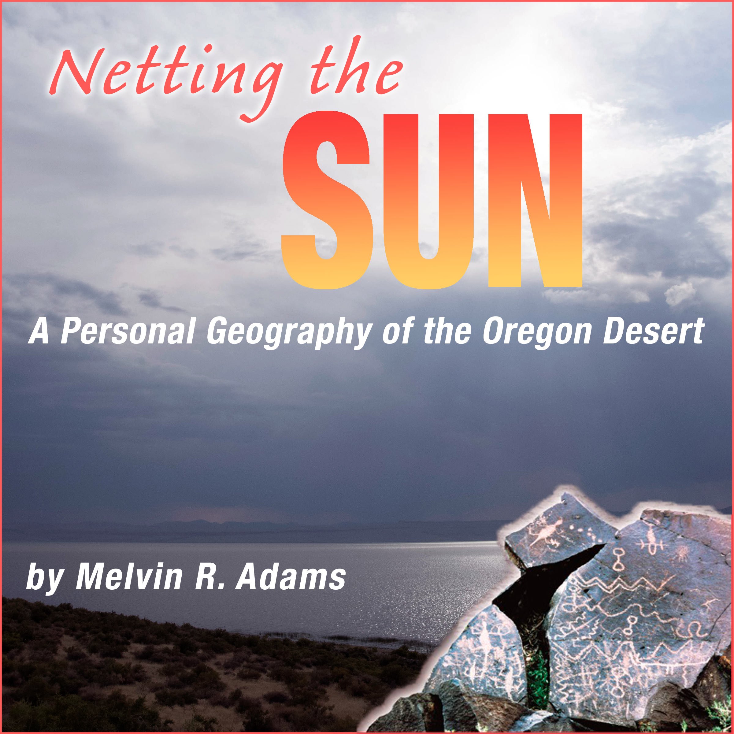 Cover art for Netting the Sun