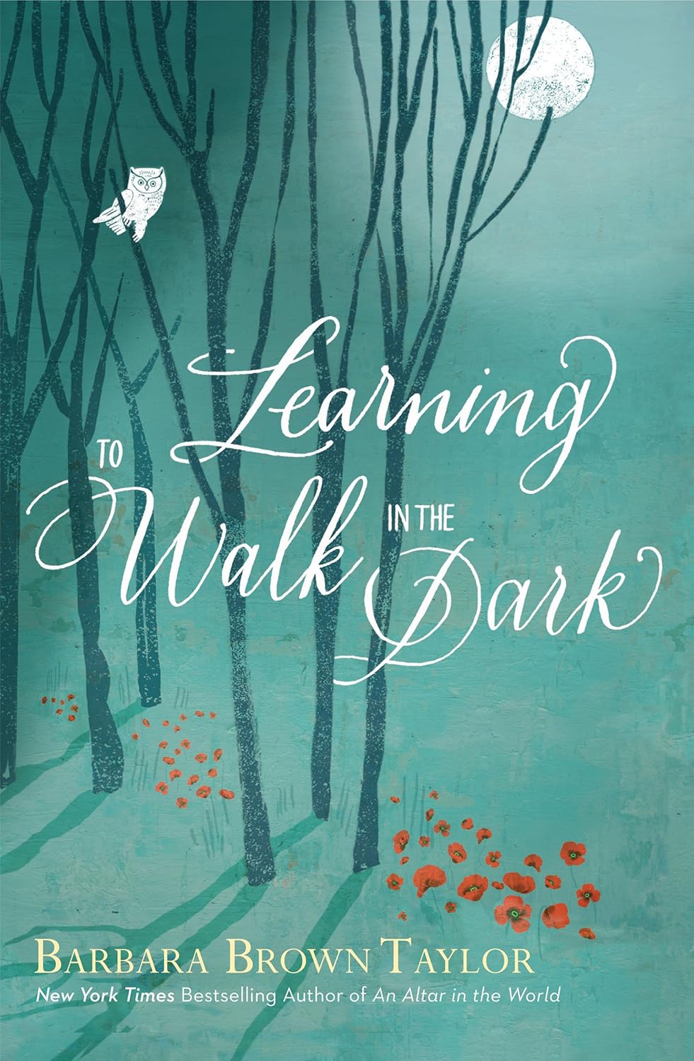 Learning to Walk in the Dark: A Study of Spiritual Growth Through Darkness