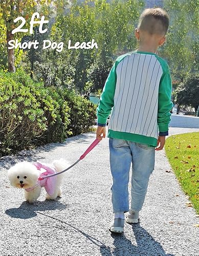 Miniatura 2 de Mycicy Correa de cuerda para perro, correa reflectante de 234610 pies, correa de entrenamiento para perros grandes y medianos y pequeños (rosa, 2