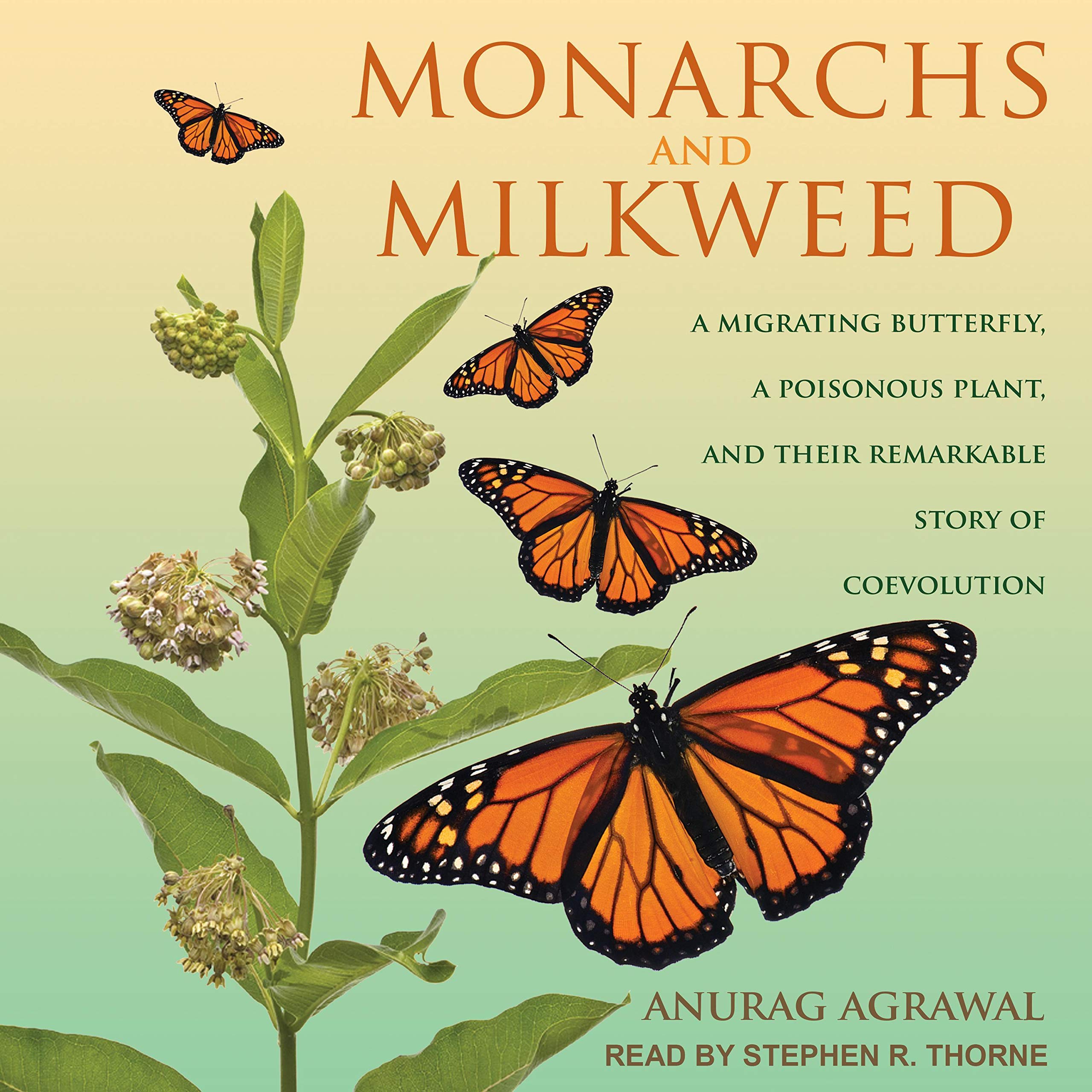 Cover art for Monarchs and Milkweed