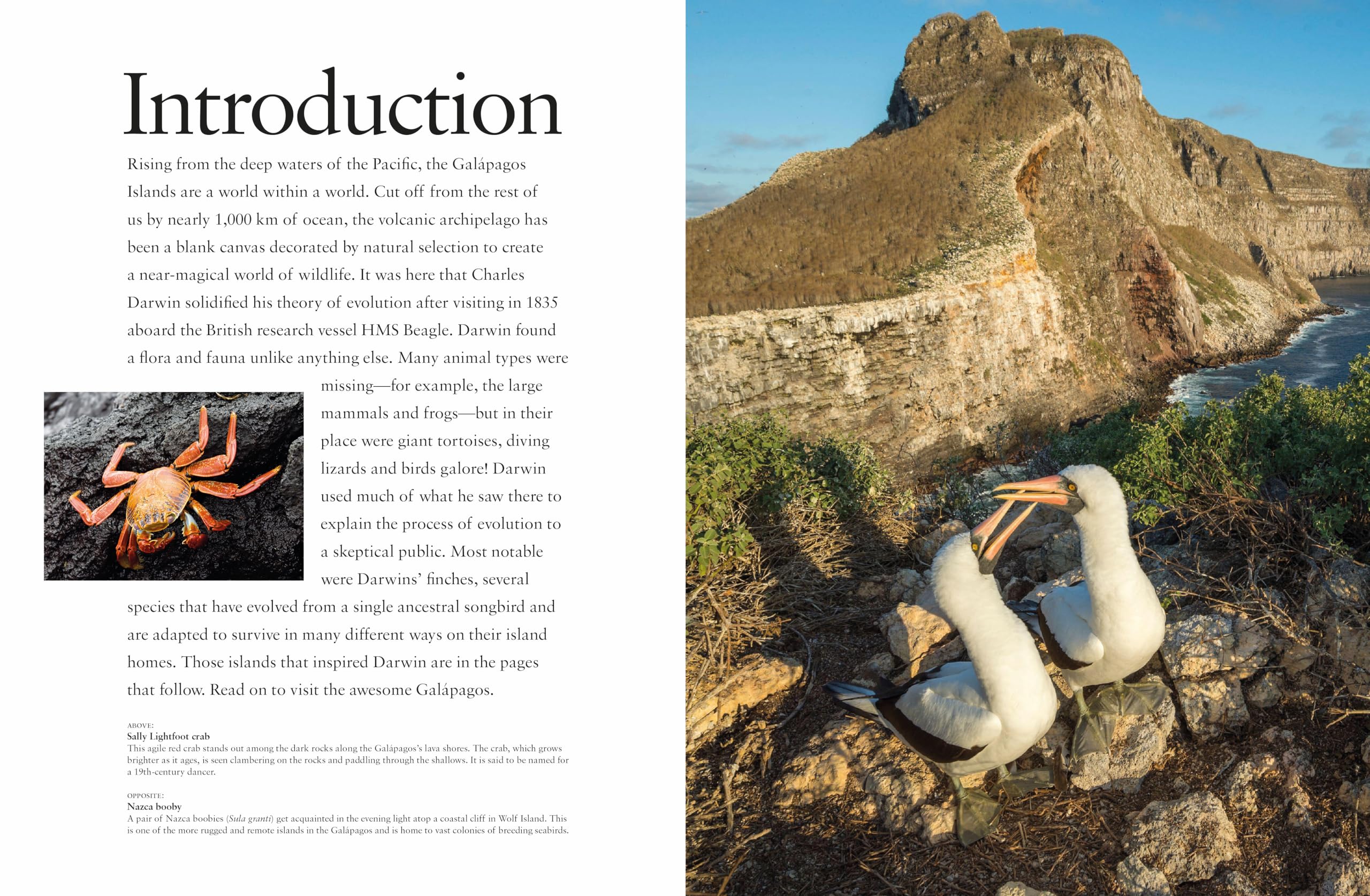 Galapagos Islands: A Showcase of Evolution (Travel)